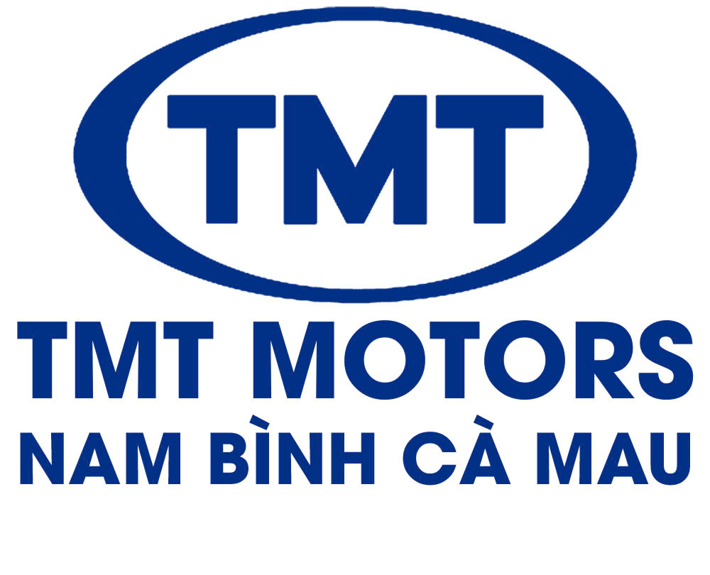 tmtcamau.vn